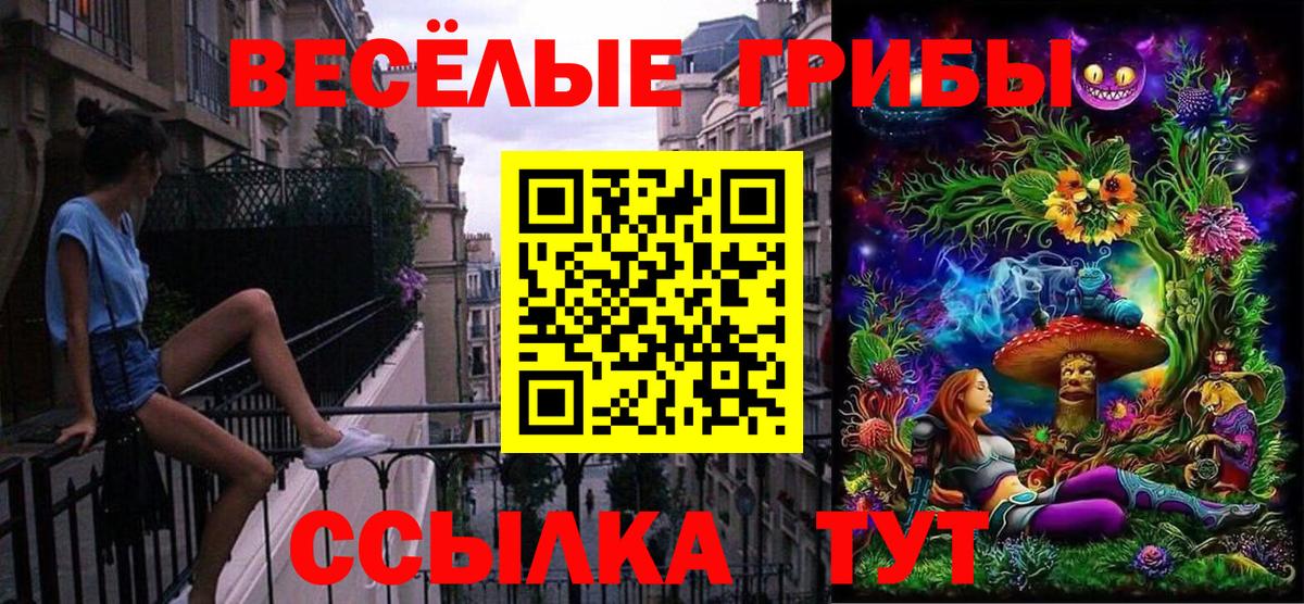 Галлюциногенные грибы Psilocybine cubensis  Вход с VPN  Барнаул 